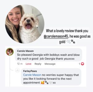 farley paws review